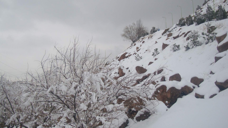 کاوه وحیدی آذر - برف زمستان